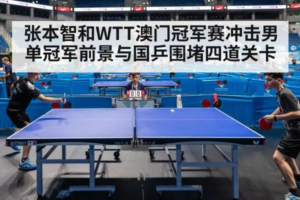 张本智和WTT澳门冠军赛冲击男单冠军前景与国乒围堵四道关卡 | hth